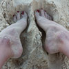 Soft Sandy Soles